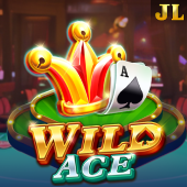 Wild Ace Fox Game PS5 Games